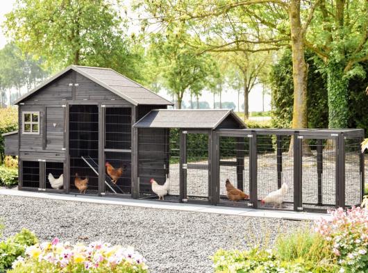 Hühnerstall Holiday Large Duo Black mit Legenest und Anbauausläufen 564x100x195cm