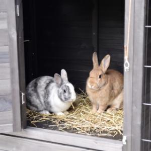 Im abschließbaren Schlafbereich des Kaninchenstalls Holiday Large können die Kaninchen wunderbar entspannen