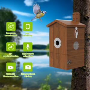 Verschiedene Vorteile des Vogelnistkastens mit Kamera