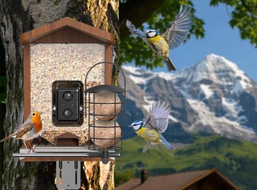 Sanilu Vogel-Futterhaus mit Kamera und Solarpanel