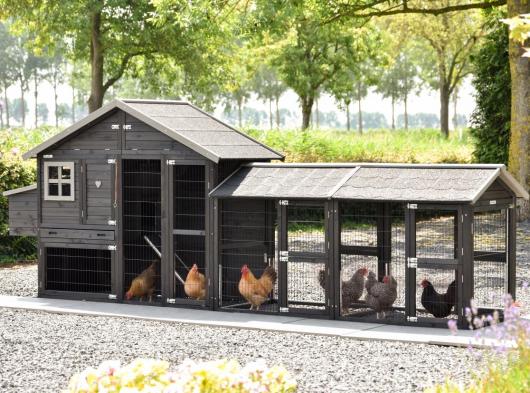 Hühnerstall Holiday Medium Black mit 2 Ausläufe und Legenest 400x88x151cm