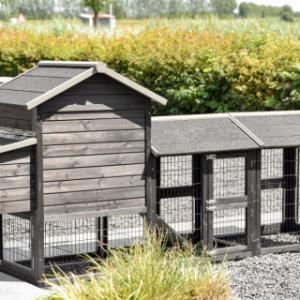 Eben gucken an der Rückseite von Hühnerstall Prestige Small Black