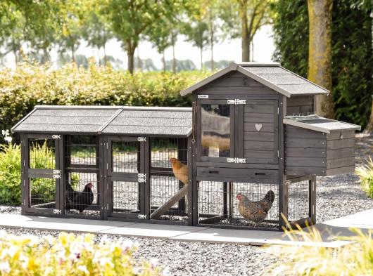 Hühnerstall Prestige Small Black mit 2 Ausläufe und Legenest 265x72x122cm