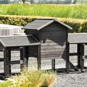 Eben gucken an der Rückseite von Kaninchenstall Prestige Small Black