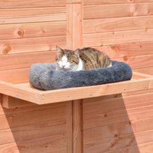 Mit einem passenden Kissen kann die Katze noch bequemer auf der Plattform liegen