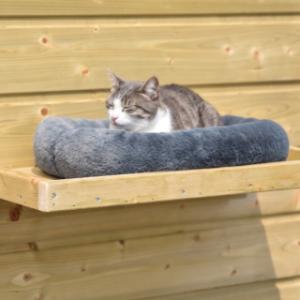 Mit einem passenden Kissen kann die Katze noch bequemer auf der Plattform liegen
