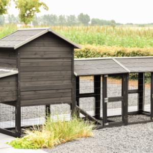 Eben gucken an der Rückseite von Hühnerstall Prestige Medium Black