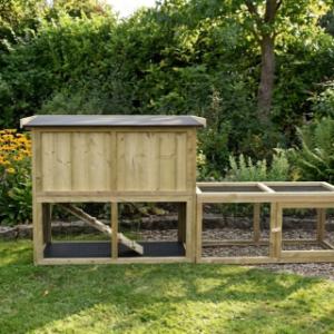 Back of the rabbit hutch