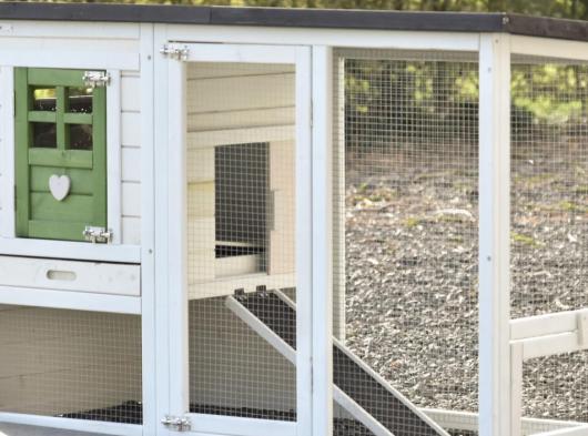 Plexiglas Isolierset · für Kaninchenstall Noah