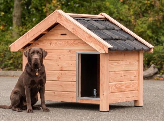 Hundehütte Reno aus Douglasienholz 160x106x123cm