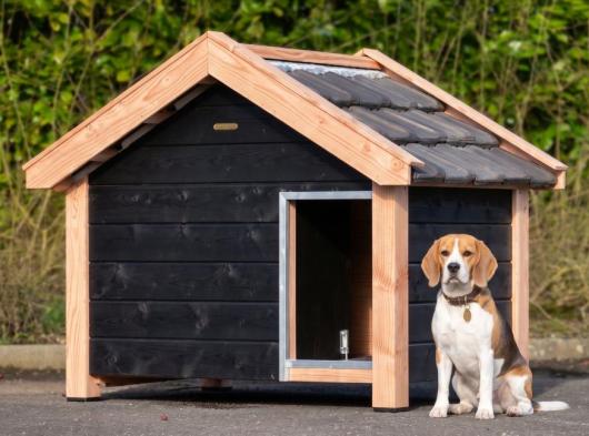 Hundehütte Reno schwarz/Douglas isoliert 160x106x123cm