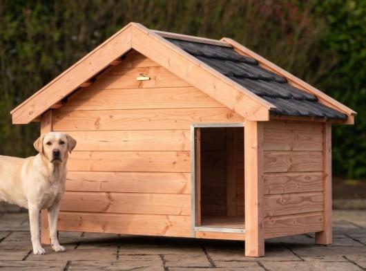 Hundehütte Snuf • Douglasienholz • 193x134x143cm