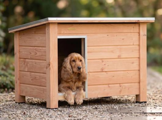 Hundehütte Ferro Douglas, Isoliert 129x85x85 cm