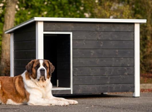 Hundehütte Loebas schwarz/weiß 195x127x122 cm