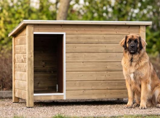 ✓ Imprägnierte ✓ Hundehütte Loebas