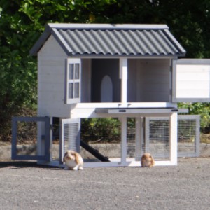 Der Kaninchenstall Nice hat viele Türen