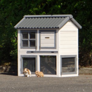 Kaninchenstall Nice | mit Kunststoff-dach