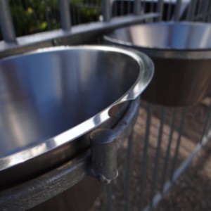 Das doppelte Futterset ist mit 2 Edelstahlnäpfen ausgestattet