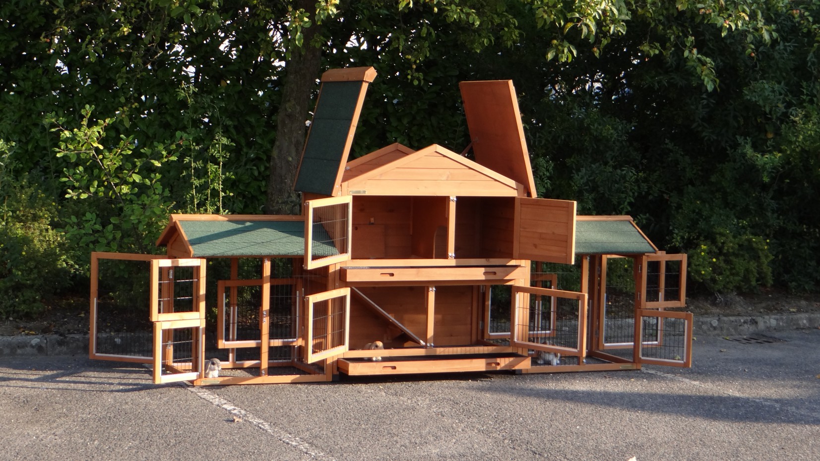 Kaninchenstall Excellent Medium mit Auslaufflächen