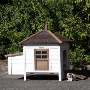 Kaninchenstall Ambiance Small · 108x77x99cm