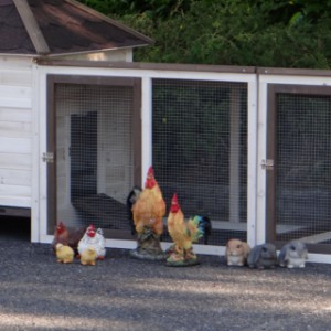 Der Hühnerstall Ambiance Large ist auch geeignet für Hühner