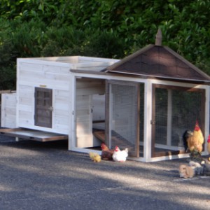 Meerschweinchenstall Ambiance Large ist ausgestattet mit ein herausnehmbares Dach