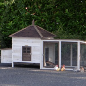 Der Auslauf von Hühnerstall Ambiance Large ist ausgestattet mit Dachpappe