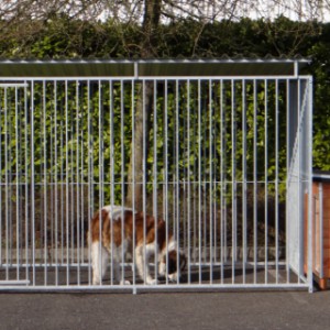 Grosser Zwinger für Bernhardiner Hund