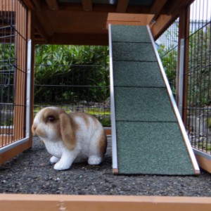 Kaninchenstall Maurice | Leiter