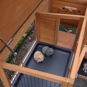 Kaninchenstall Maurice mit 2 zusätzlichen Außenbereichen