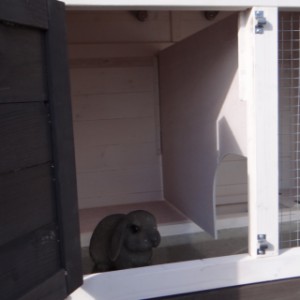 Der Schlafraum von Meerschweinchenstall Annemieke ist ausgestattet mit ein herausnehmbare Trennwand