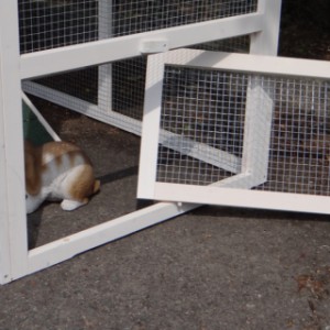 Der Kaninchenstall Julia ist ausgestattet mit ein herausnehmbares Gitterpaneel