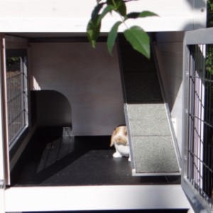 Der Leiter von Kaninchenstall Kim ist ausgestattet mit Dachpappe