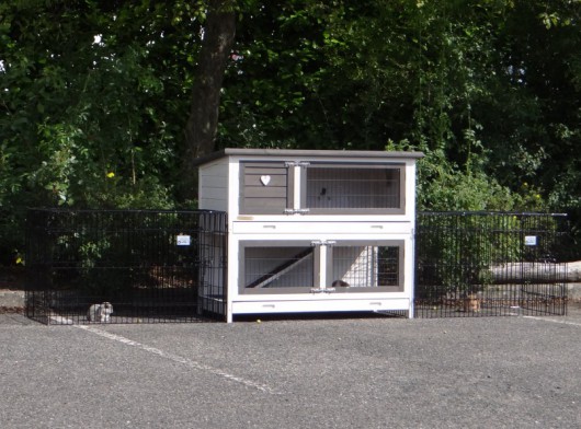 Kaninchenstall Adrian mit 2 Anbau-Ausläufe Joey 315x60x96cm