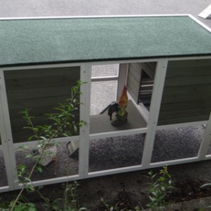 Hühnerstall mit auslauf