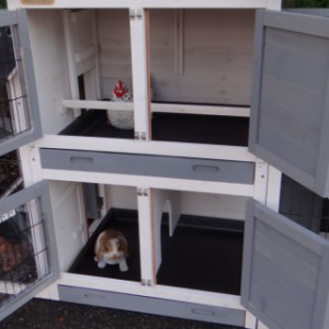 Der Meerschweinchenstall Double Small hat zwei getrennte Schlafbereiche