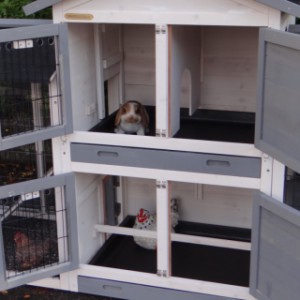 Kaninchenstall Double Small hat 2 Schlafräume für Hühner/Kaninchen