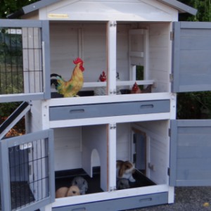 Hühnerstall Double Small | mit 2 Schlafräume für Hühner/Kaninchen