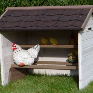 Hühner Schlafplatz im Hühner Heim