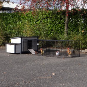 Hühnerställe Eva mit Anbau-Auslauf Jeffrey