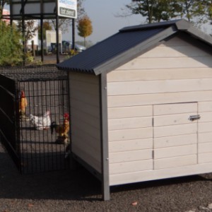Hühnerstall Lotte mit Anbau-Auslauf Jeffrey
