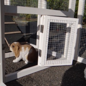 Die Kaninchen haben ein große Auslauf