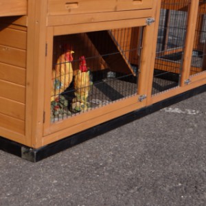 Fundamentbalken für Hühnerauslauf - Kaninchenauslauf Functional