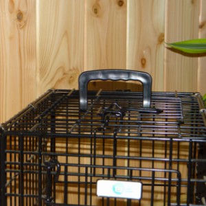 Die Reisebox Strong S lässt sich leicht mitnehmen