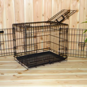 Die Reisebox Strong S hat 2 Türen und 1 Dachluke