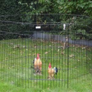 Schweres Kaninchen-Freilaufgehege 8 Paneele Höhe 107cm