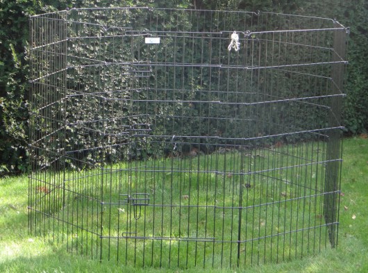 Schweres Kaninchen-Freilaufgehege 8 Paneele Höhe 107cm