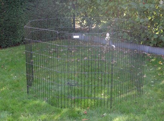 Schweres Kaninchen-Freilaufgehege 8 Paneele Höhe 91cm